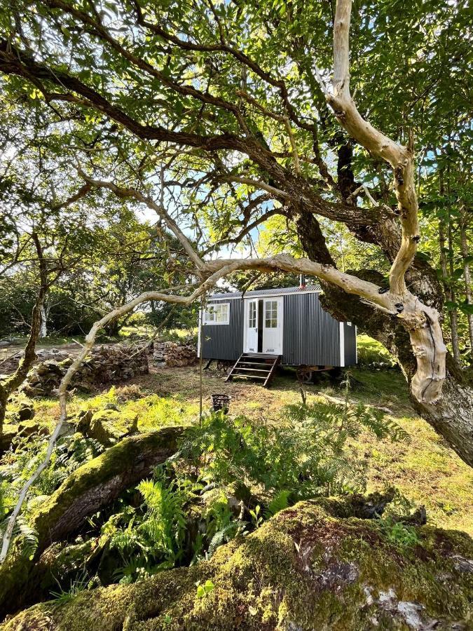הוילה ווסטפורט The Hazel Hut מראה חיצוני תמונה