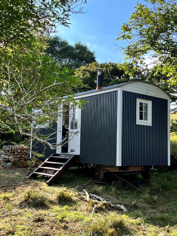 הוילה ווסטפורט The Hazel Hut מראה חיצוני תמונה